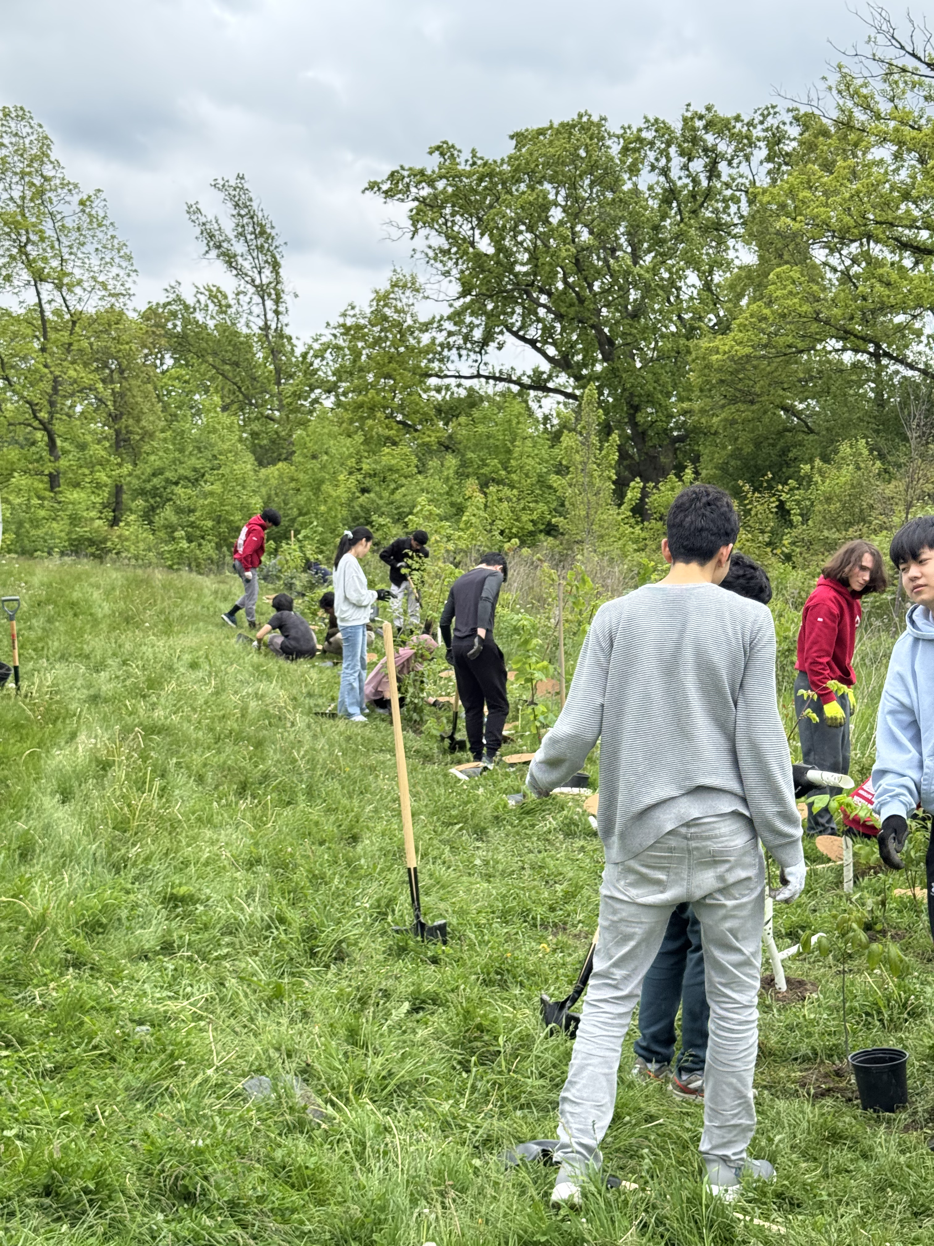 Planting Trees